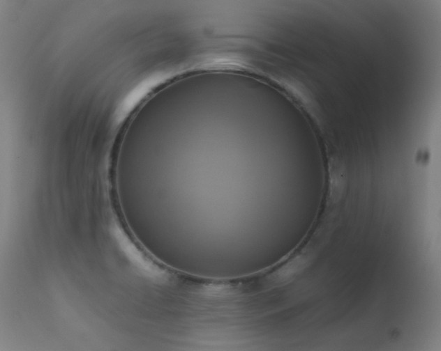 X0000111651422200907171533