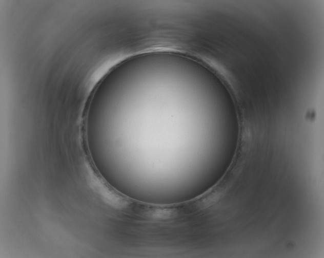 X0000111651423200907171533