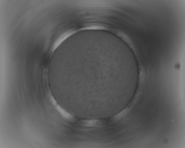 X0000111651425200907171533