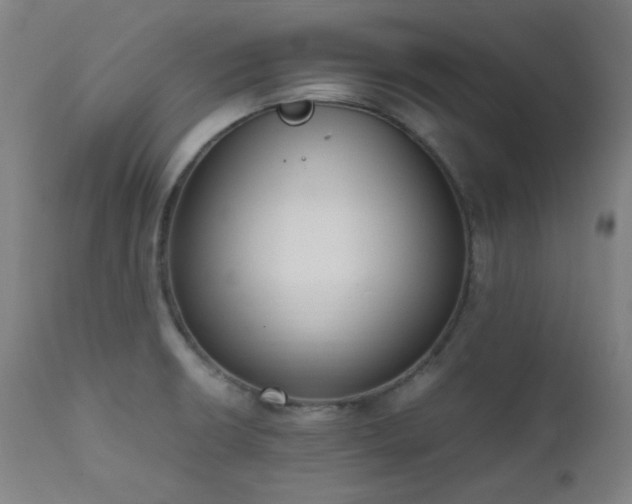X0000111651426200907171533