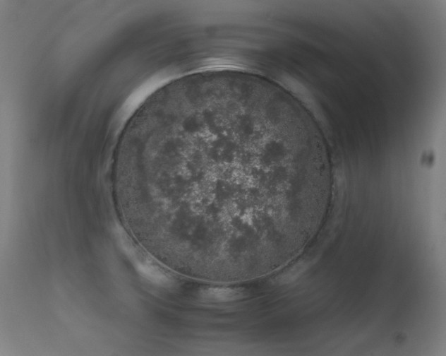 X0000111651427200907171533