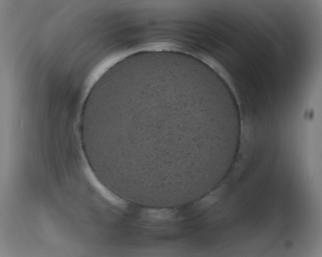 X0000111651429200907171533