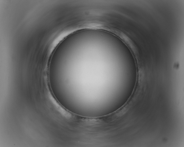 X0000111651432200907171533
