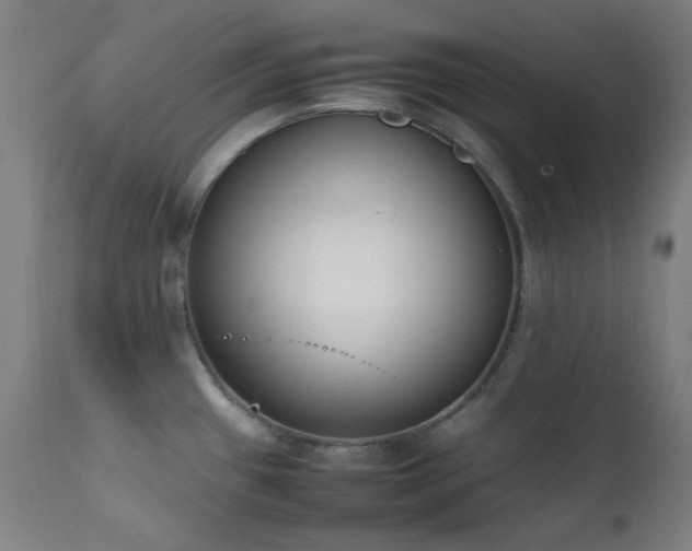 X0000111651433200907171533