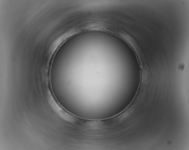 X0000111651434200907171533