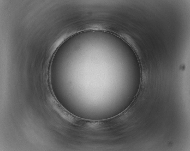 X0000111651435200907171533