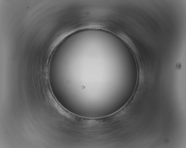 X0000111651436200907171533