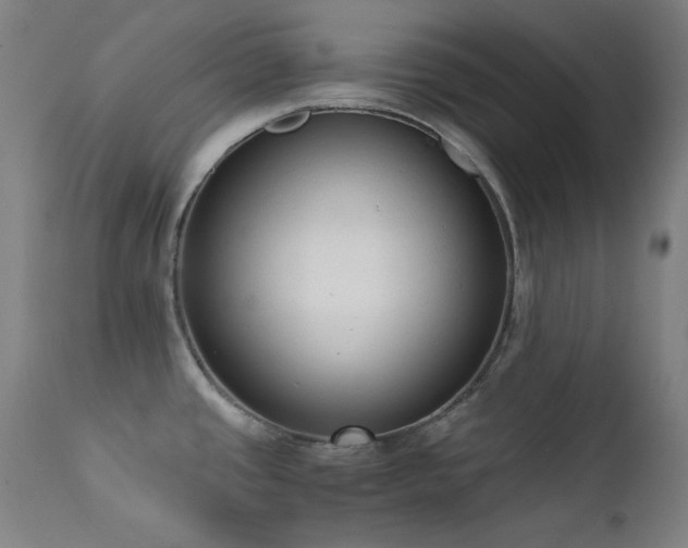 X0000111651437200907171533
