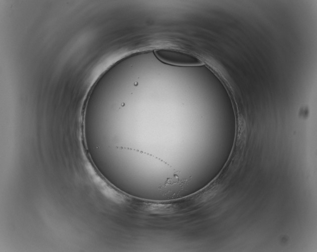 X0000111651439200907171533