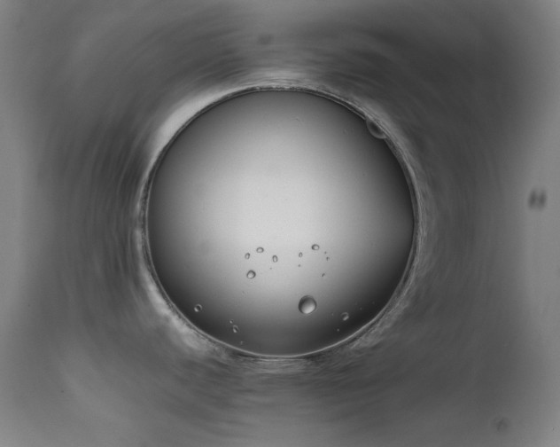 X0000111651440200907171533