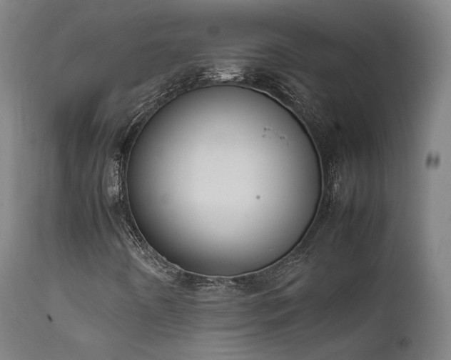 X0000111651442200907171532