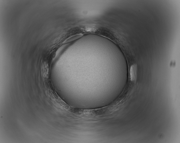 X0000111651443200907171532