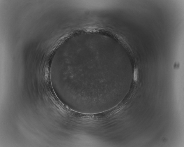 X0000111651444200907171532