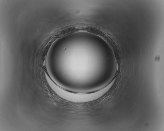 X0000111651445200907171532