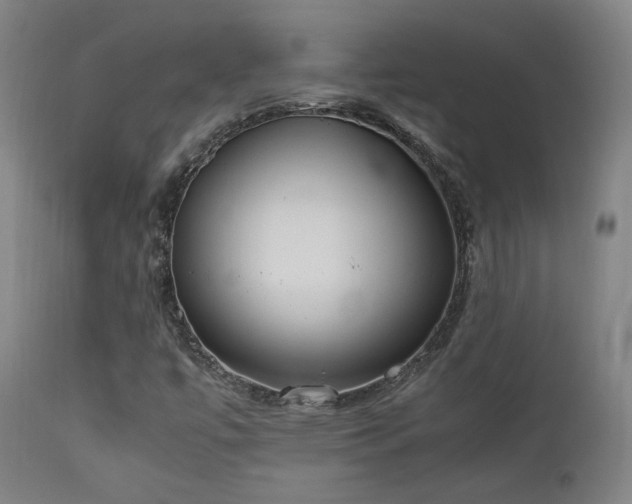 X0000111651447200907171532