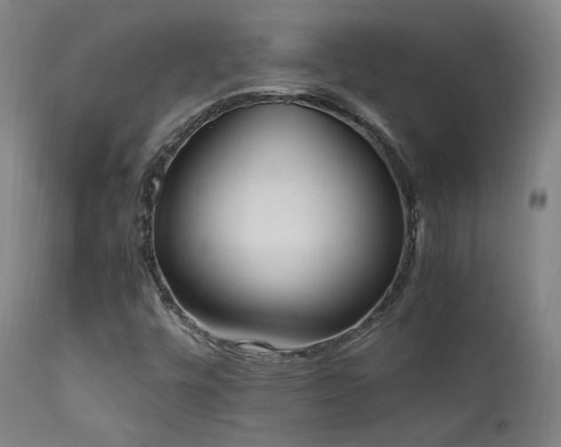 X0000111651448200907171532