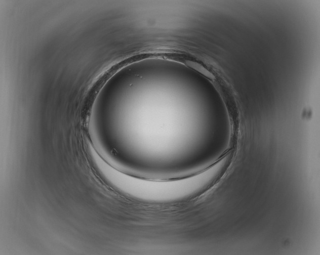 X0000111651449200907171532