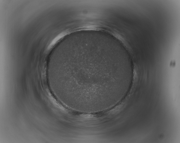 X0000111651450200907171532