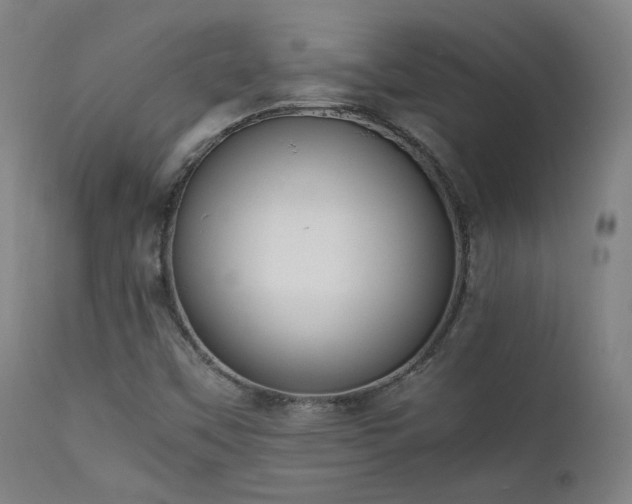 X0000111651451200907171532