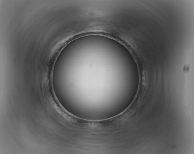 X0000111651452200907171532