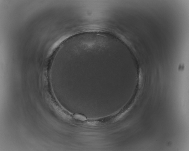 X0000111651453200907171532