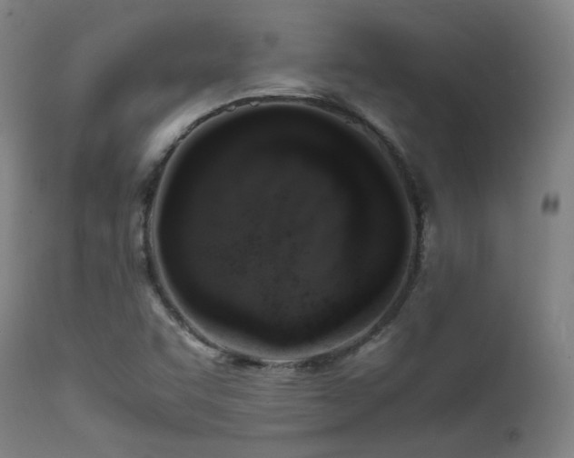 X0000111651455200907171532