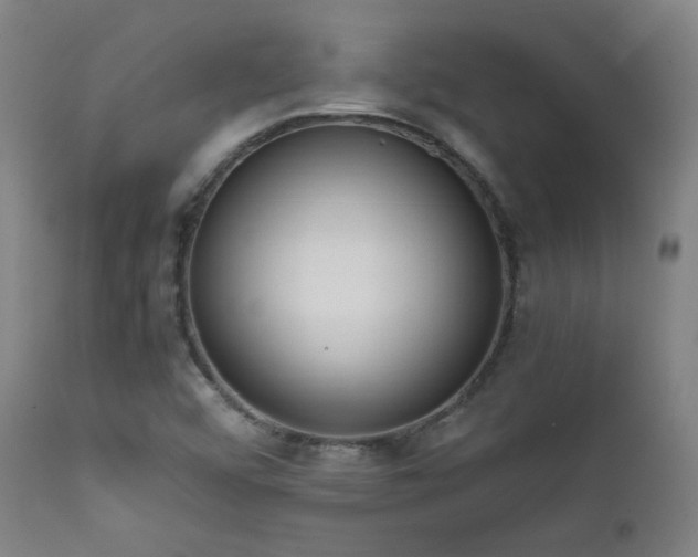 X0000111651456200907171532