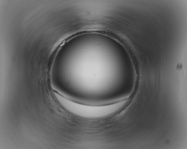 X0000111651457200907171532