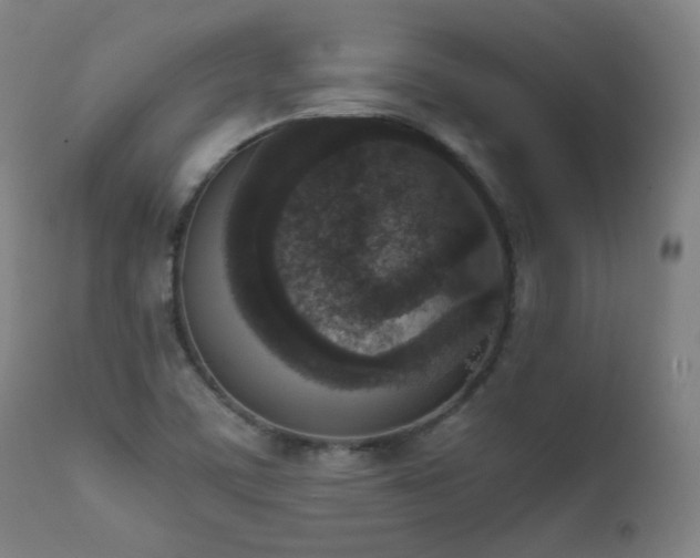 X0000111651459200907171532