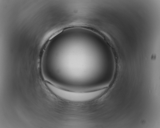 X0000111651461200907171532