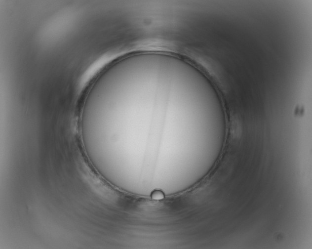 X0000111651462200907171532
