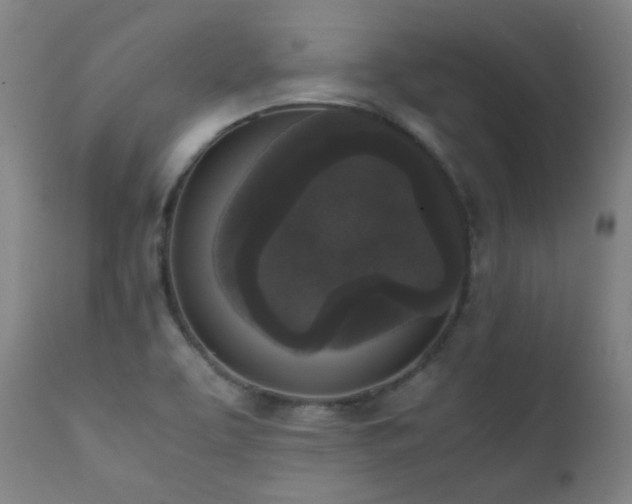 X0000111651463200907171532