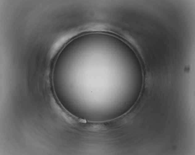 X0000111651464200907171532