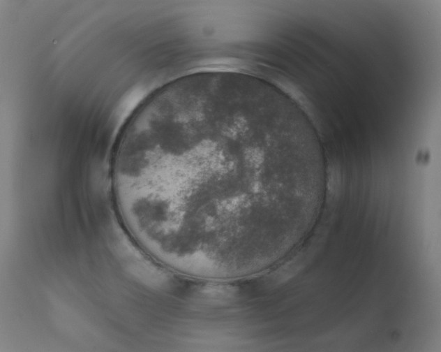 X0000111651466200907171532