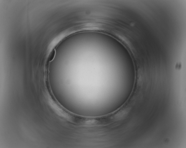 X0000111651467200907171532