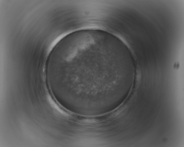 X0000111651468200907171532