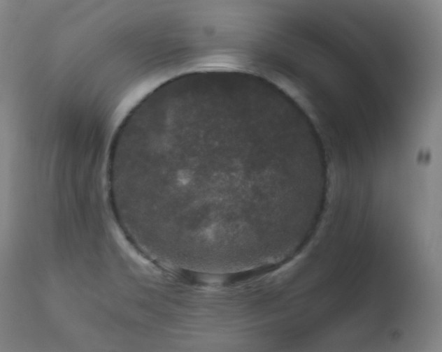 X0000111651469200907171532