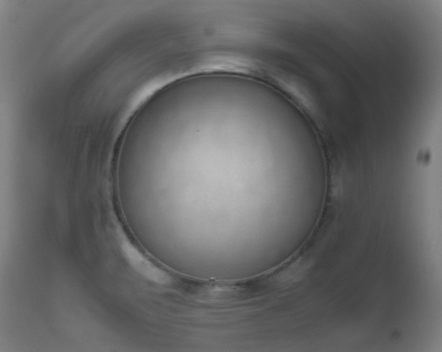 X0000111651471200907171532