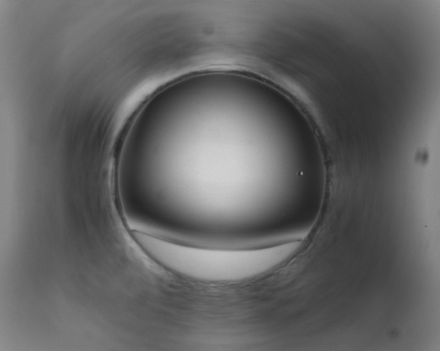 X0000111651472200907171532