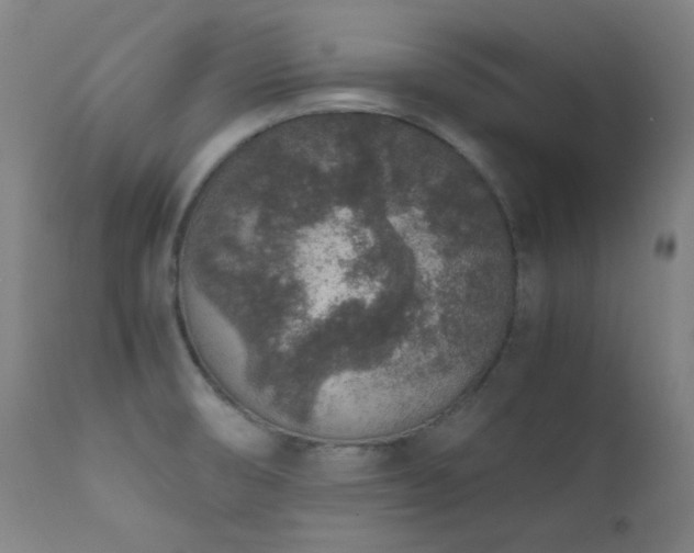 X0000111651474200907171532