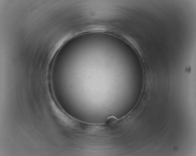 X0000111651475200907171532