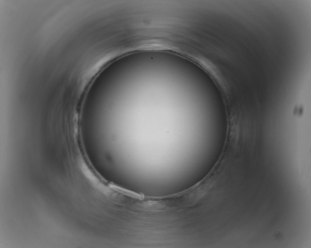 X0000111651476200907171532