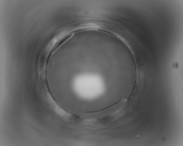 X0000111651477200907171532