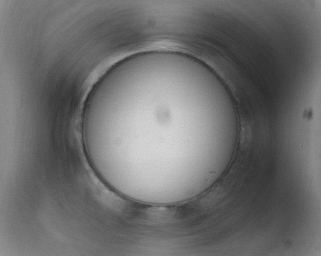 X0000111651478200907171532