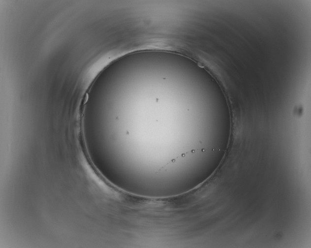 X0000111651479200907171532