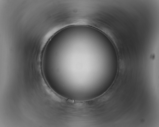 X0000111651480200907171532