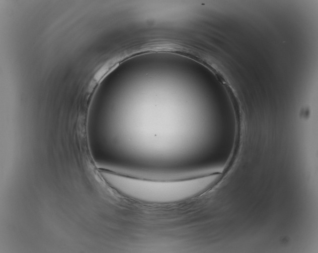 X0000111651481200907171532