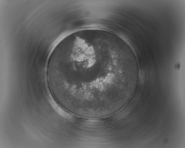 X0000111651482200907171532