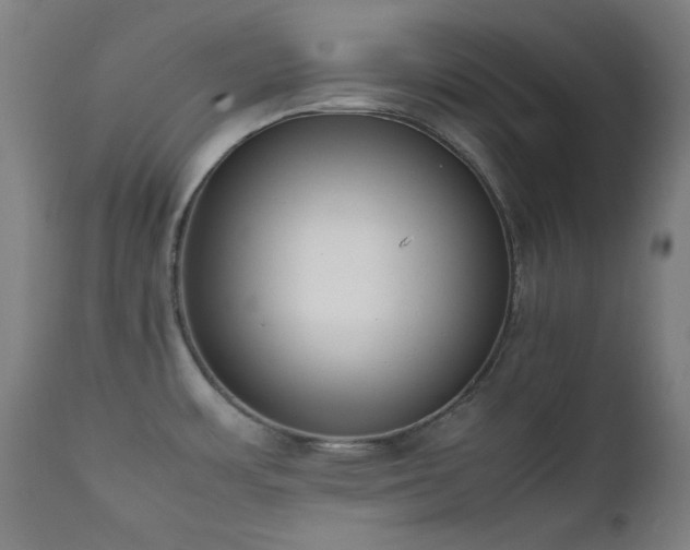X0000111651483200907171532