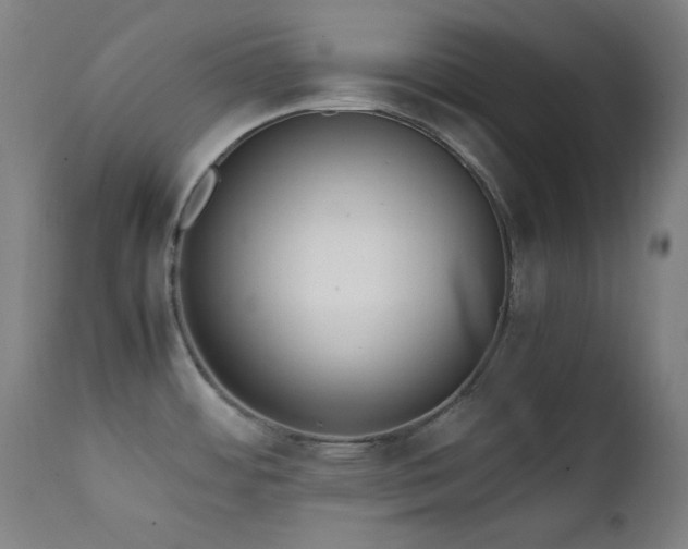 X0000111651484200907171532